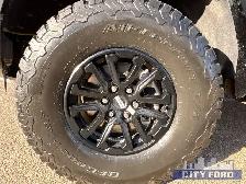 2024 Ford F-150 Raptor 4x4 SuperCrew 5.5' Box - Photo 9