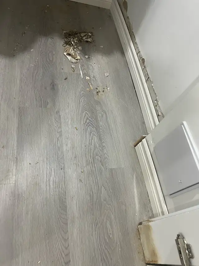 Trim Baseboard Door and Window Repair Replace $100