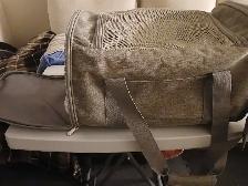HEALTHY 2 YR FRIENDLY TABBY FEMALE CAT FOR ADOPT LOT ACCESSORIES - Photo 10