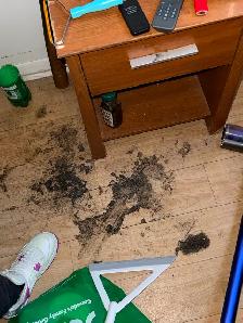 Pristine Clean NL Cleaning Services - Photo 4