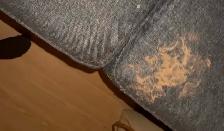 Pristine Clean NL Cleaning Services - Photo 8
