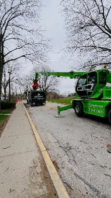 arborist position - Photo 2