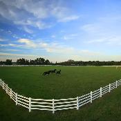 Farm Fencing Materials and Installation - Photo 4