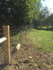 Farm Fencing Materials and Installation - Photo 5