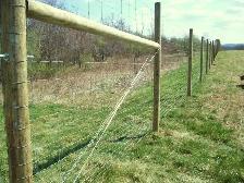 Farm Fencing Materials and Installation - Photo 7
