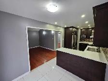 3 bedroom, 3 bathroom house for rent - Photo 4