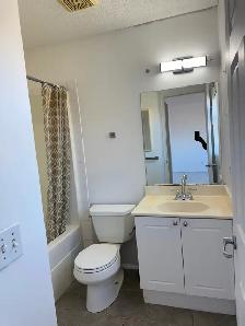 3 bedrooms and 2.5 washrooms single family house for RENT - Photo 10
