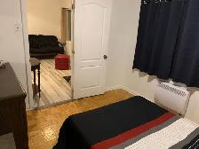 3 & 1/2 tout inclu laveuse sécheuse/3 & 1/2 all incl washer dry - Photo 7
