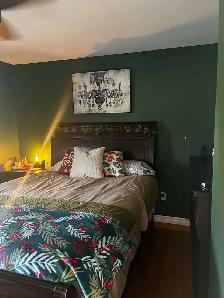Professional Painter - Photo 2