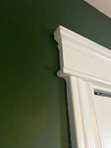 Professional Painter - Photo 3