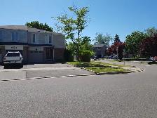 2 bedroom 1 bath basement apartment. Available December 1st 2026