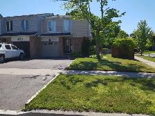 2 bedroom 1 bath basement apartment. Available December 1st 2026 - Photo 2