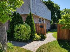 2 bedroom 1 bath basement apartment. Available December 1st 2026 - Photo 3
