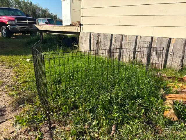 Puppy Pen