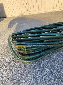 FREE Garden hose