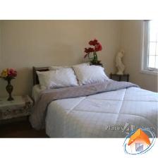 Bright Furnished Room for Rent – Scarborough (Morningside & F - Photo 4