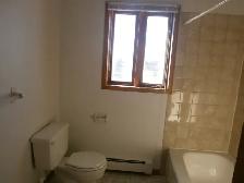 1Bed 1 Bath Apartment in Summerside PEI - Photo 5
