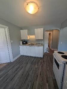 FOR RENT - 2 Bedroom Downtown Wiarton - Photo 3