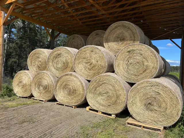 Quality Yukon Hay for Sale