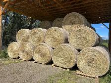 Quality Yukon Hay for Sale