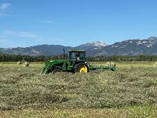 Quality Yukon Hay for Sale - Photo 3