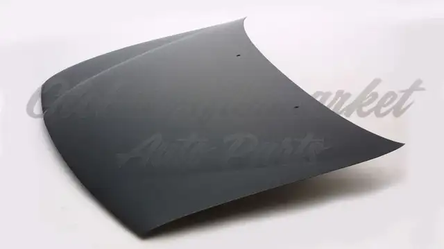Nissan Sentra 1995-1998 Hood