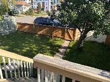 Beautiful 3-bedroom character home in Port Arthur, $2995 - Photo 18