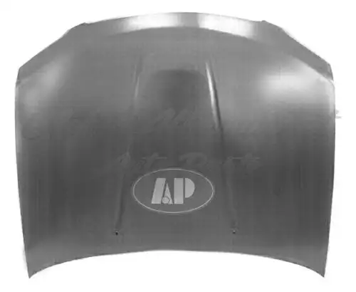 Nissan Sentra 2004-2006 Hood