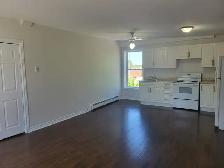 BRAND NEW 2 BEDROOM APARTMENTS, 1 bed, bachelor and rooms 4 rent - Photo 7
