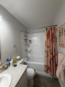 BRAND NEW 2 BEDROOM APARTMENTS, 1 bed, bachelor and rooms 4 rent - Photo 10