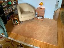 Tapis indien - 5 pi x 7 pi