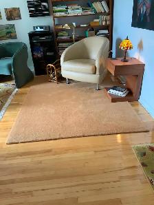 Tapis indien - 5 pi x 7 pi - Photo 2