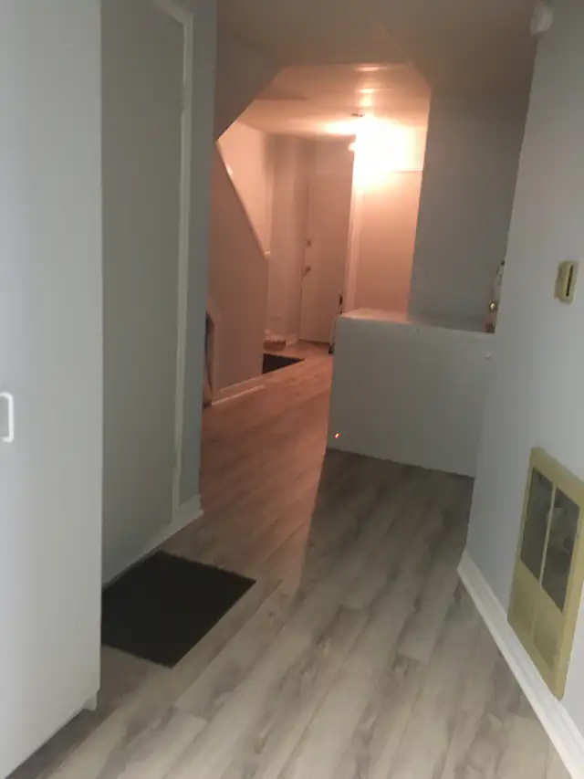Furnished Basement