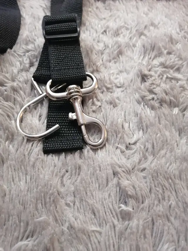 Clips $1 each