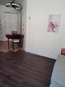 Appartment 3 1/2 to rent downtown/ UQAM