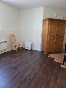Appartment 3 1/2 to rent downtown/ UQAM - Photo 2