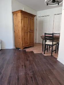 Appartment 3 1/2 to rent downtown/ UQAM - Photo 4