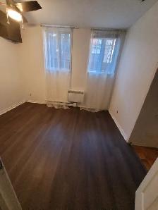 Appartment 3 1/2 to rent downtown/ UQAM - Photo 6