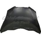 Nissan Leaf 2011-2012 Hood Aluminum