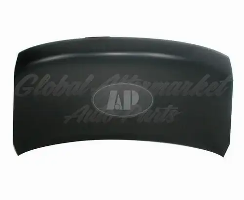 Nissan Cube 2009-2014 Hood