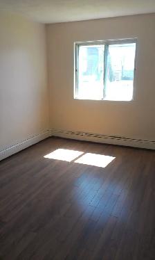 Two Bedroom Apartment Available in Dartmouth - Photo 3