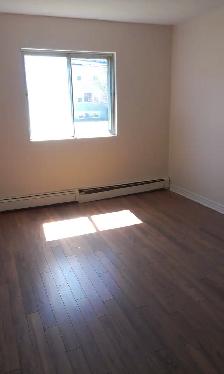 Two Bedroom Apartment Available in Dartmouth - Photo 4