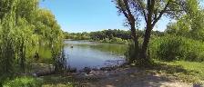 LARGE 1 BEDROOM FOR RENT NEAR THE JUNCTION! $1975 ALL INCLUSIVE! - Photo 11