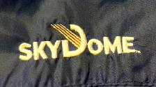 Skydome original vintage windbreaker - size men’s medium