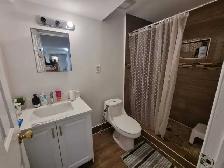 Basement For Rent - Photo 8