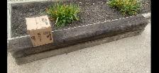 Free Railroad Ties
