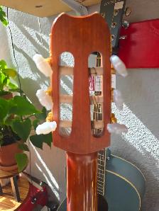 Yamaha Acoustic-Electric Guitar 2008 - Photo 7