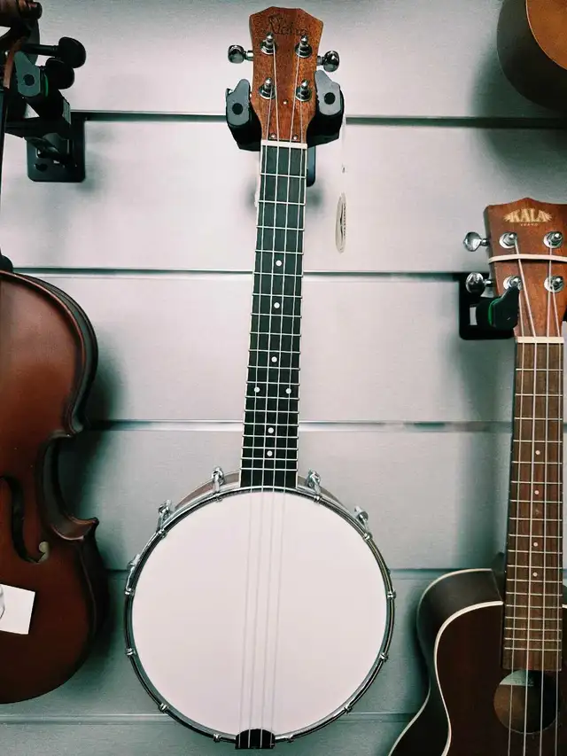 Banjo ukulele