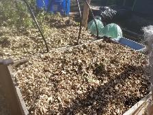 Electric Branch Shredder/Chipper - Photo 3
