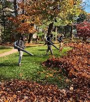 fall clean up - Photo 2